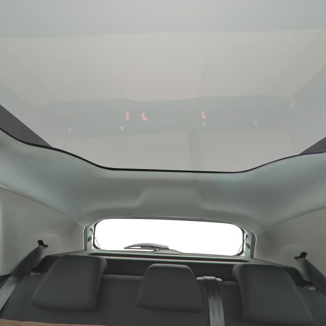 Citron C4 Cactus - Photos, dtails et quipements - Citron Origins